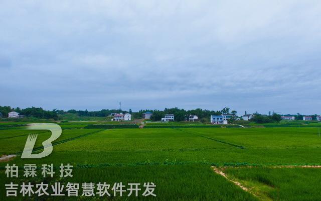 jilinshi17.jpg